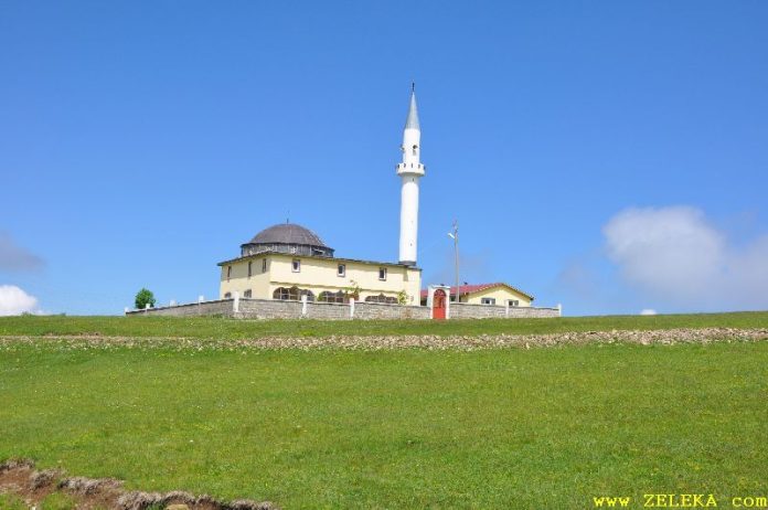 Zeleka_Karisik (1810)