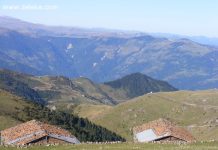 BİR BELGE VE ZELEKA 1915 ( 38 )