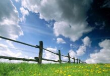 KÖYÜN SON EFENDİSİ (30)