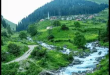 ZELEKANIN DOKTORLARI (34) 2